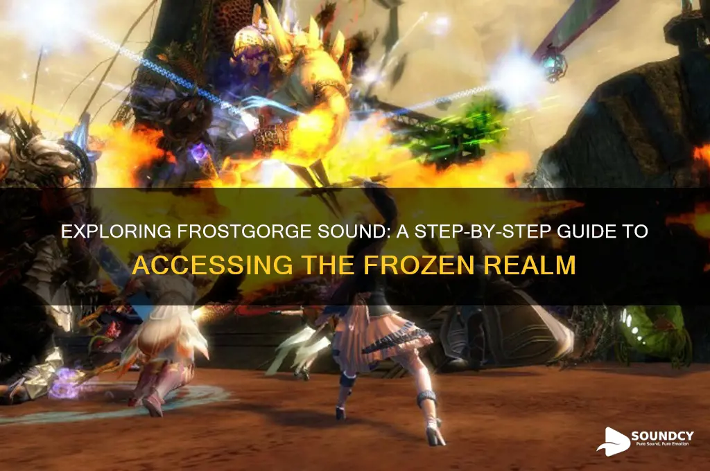 how to enter frostgorge sound