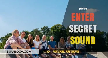 Unlocking the Mystery: A Guide to Entering the Secret Sound