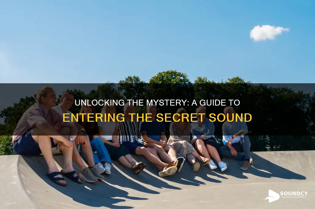 how to enter secret sound