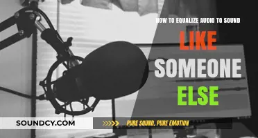 Mastering Voice Transformation: Techniques to Equalize Audio Like a Pro
