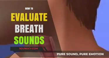 Mastering Auscultation: A Comprehensive Guide to Evaluating Breath Sounds
