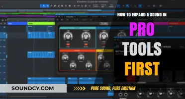 Mastering Pro Tools First: Techniques to Expand and Enhance Your Sounds
