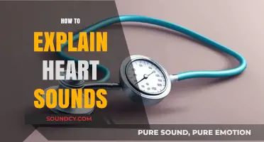 Understanding Heart Sounds: A Comprehensive Guide to Auscultation Basics