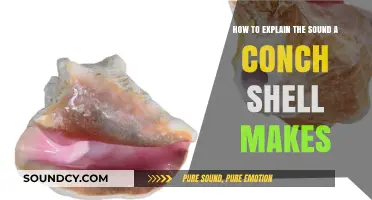 Unraveling the Mystical Resonance: How Conch Shells Create Their Unique Sound