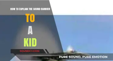 Breaking the Sound Barrier: A Kid-Friendly Guide to Sonic Speed