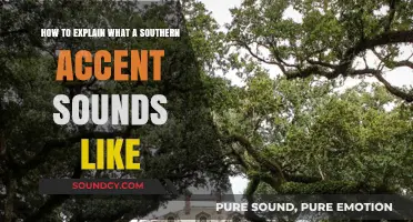 Understanding the Southern Accent: A Guide to Its Unique Sounds and Charm
