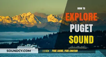 Discover Puget Sound: Ultimate Guide to Exploring Its Wonders