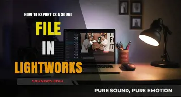 Exporting Audio in Lightworks: A Step-by-Step Guide to Sound Files