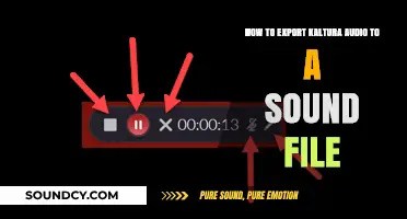 Exporting Kaltura Audio: A Step-by-Step Guide to Sound File Conversion
