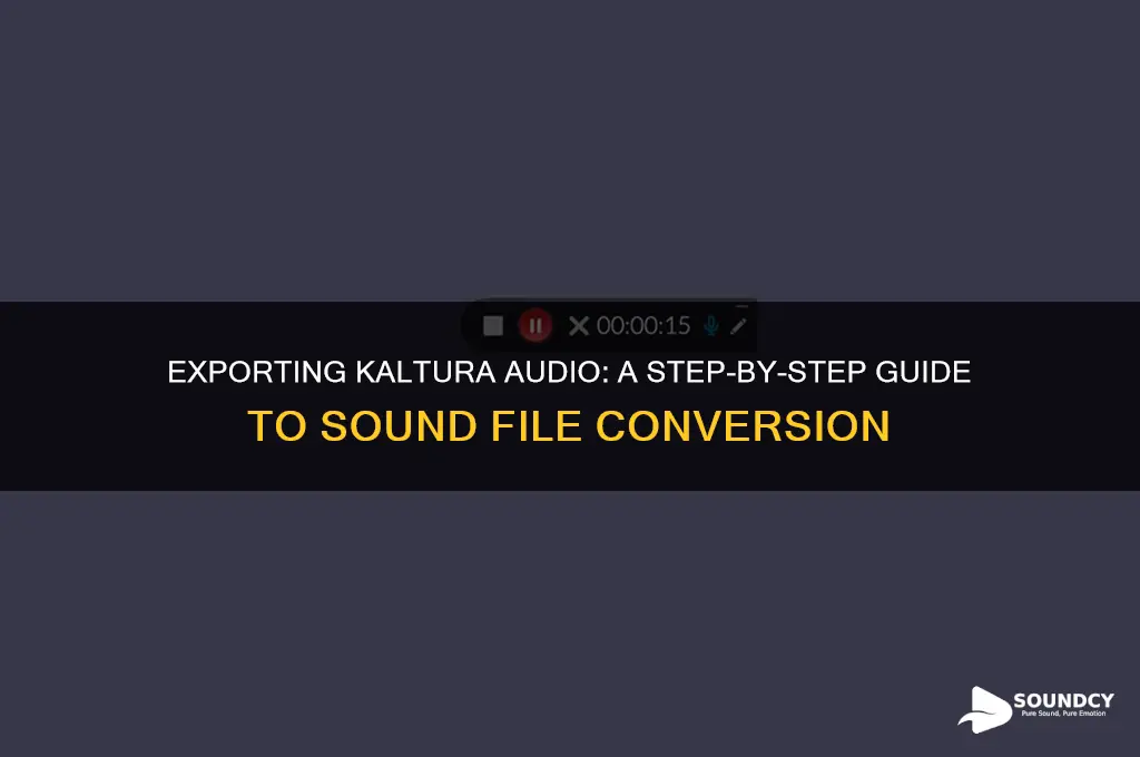 how to export kaltura audio to a sound file