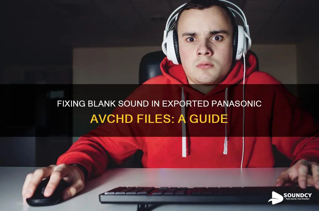 how to export panasonic avchd files have blank sound