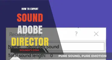 Exporting Audio in Adobe Director: A Step-by-Step Guide