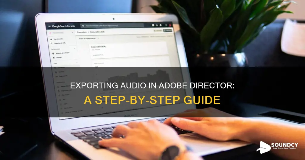 how to export sound adobe director