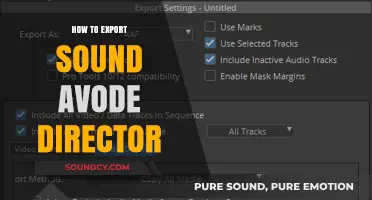 Exporting Audio: A Guide to Avode Director