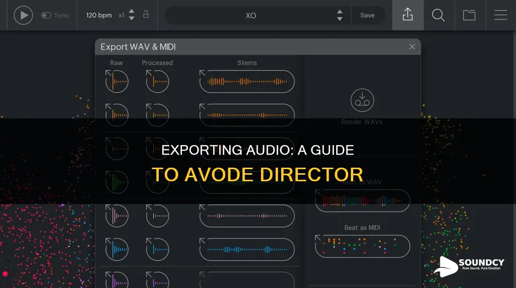how to export sound avode director