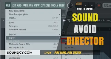 Exporting Audio: Bypassing the Director's Vision