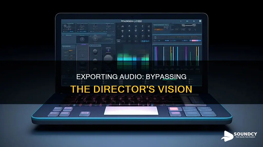 how to export sound avoid director