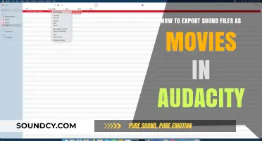 Exporting Audacity Sound Files as Movies: A Step-by-Step Guide