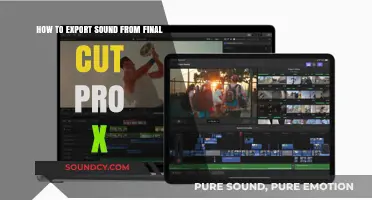 Exporting Audio from Final Cut Pro X: A Step-by-Step Guide
