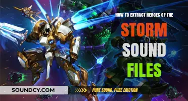 Extracting Heroes of the Storm Sound Files: A Step-by-Step Guide