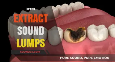 Mastering Sound Lump Extraction: A Comprehensive Step-by-Step Guide
