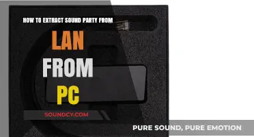Extracting Sound Party Audio from LAN: A PC User's Guide