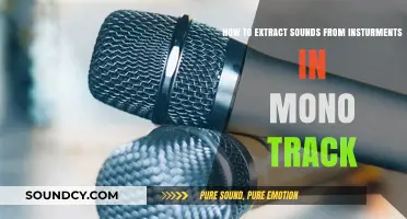 Mastering Mono: Techniques to Isolate Instrument Sounds in Single Tracks