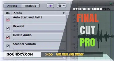 Mastering Audio Transitions: Fading Out Sound in Final Cut Pro