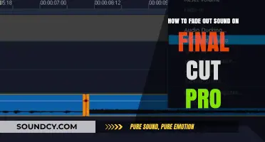 Mastering Audio Transitions: Fading Out Sound in Final Cut Pro