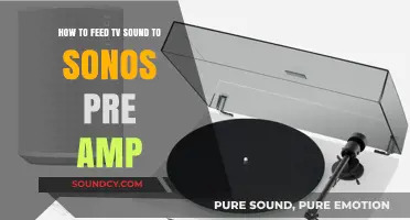 Enhance Your TV Audio: Connecting Sonos Pre-Amp for Superior Sound