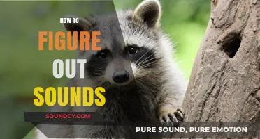 Mastering Sound Identification: A Comprehensive Guide to Understanding Audio