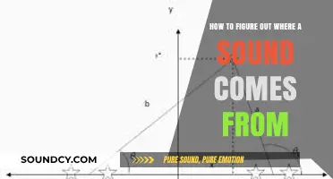 Pinpointing Sound Sources: Techniques to Identify Where Noises Originate