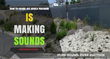 Identify the Noisy Culprit: Pinpointing Programs Behind Unwanted Sounds