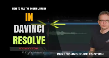 Mastering DaVinci Resolve: Efficiently Filling Your Sound Library