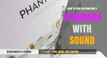 Mastering Audio-Visual Filming with Your Phantom 3 Standard Drone