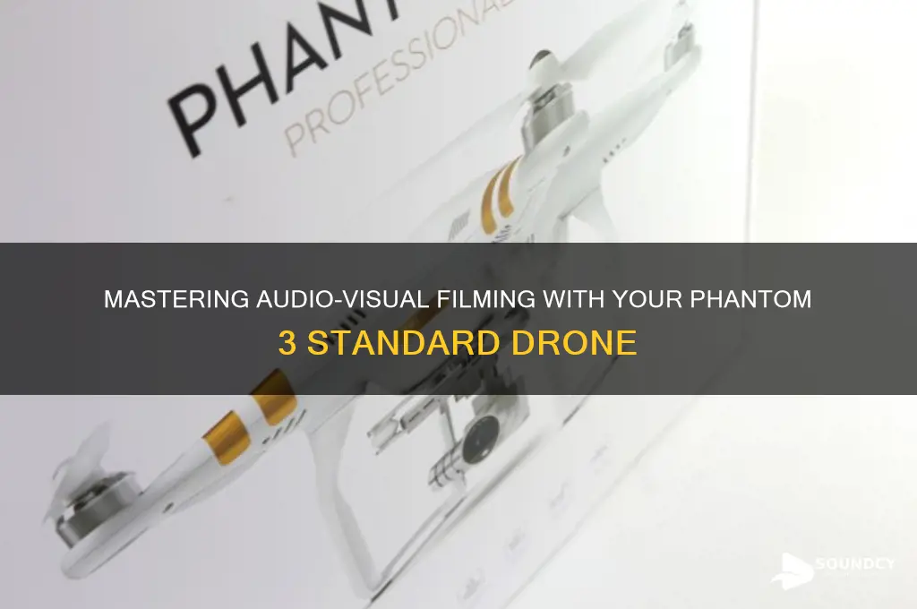 how to film on phantom 3 standard with sound