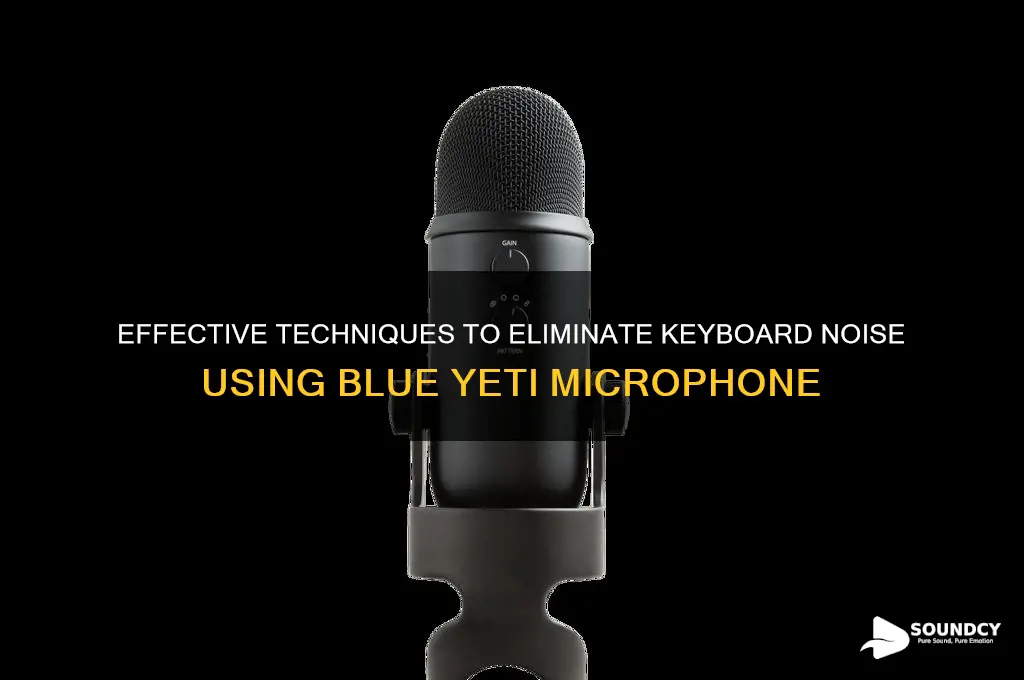 how to filter out keyboard sounds with blue yeti