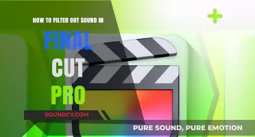 Mastering Audio Editing: How to Filter Out Sound in Final Cut Pro