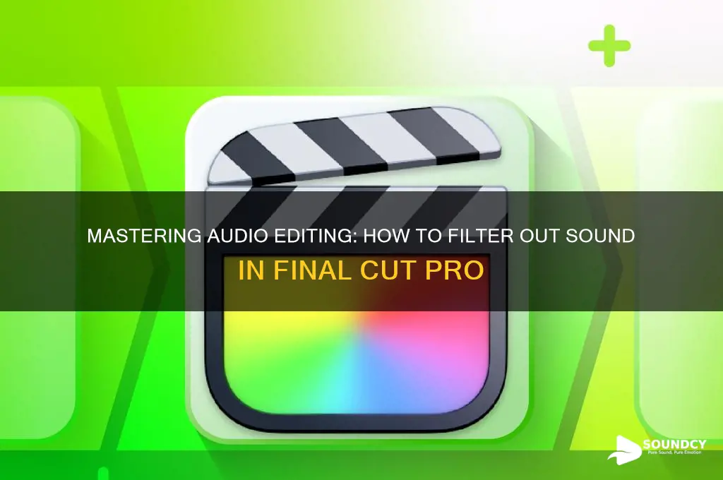 how to filter out sound in final cut pro
