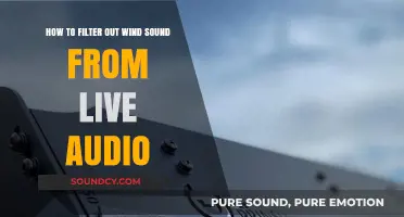 Effective Techniques to Remove Wind Noise from Live Audio Recordings