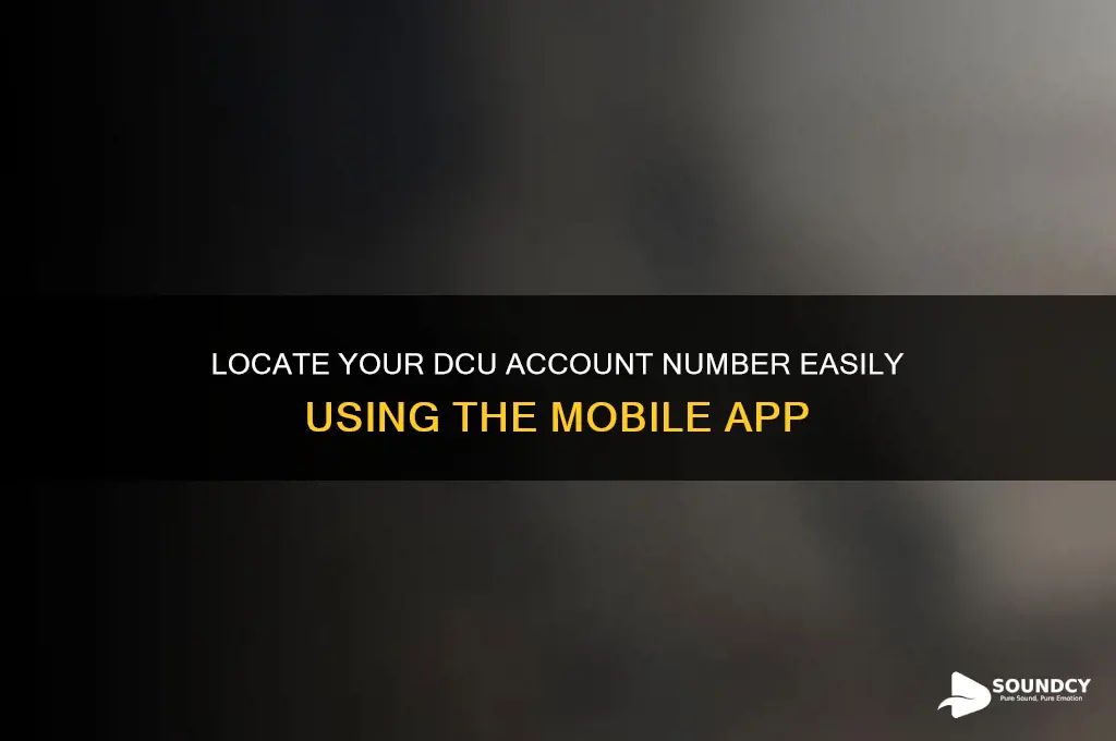 how to find account number dcu on the app