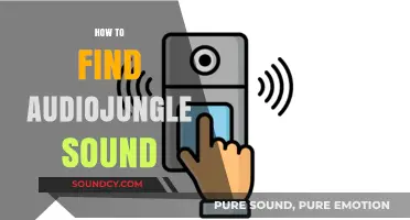 Discovering AudioJungle Sounds: A Step-by-Step Guide to Finding the Perfect Audio