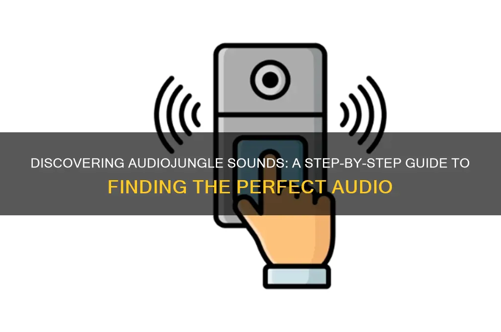 how to find audiojungle sound