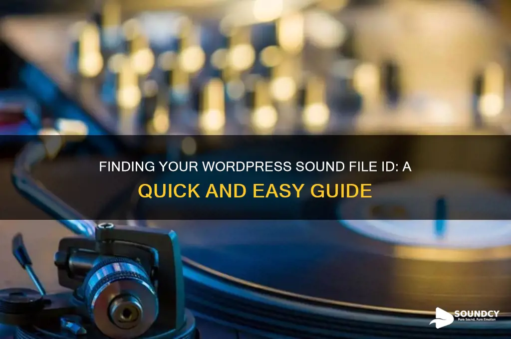 how to find id for sound file in wordpress