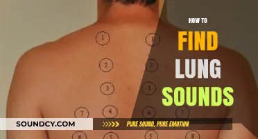 Mastering Auscultation: A Step-by-Step Guide to Identifying Lung Sounds