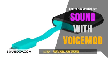 Discover Your Voice: A Guide to Using Voicemod for Sound Transformation