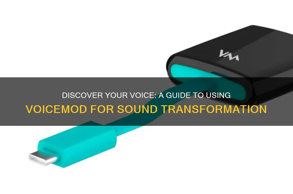 how to find out how you sound with voicemod