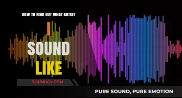 Discover Your Sound-Alike Artist: A Guide to Finding Your Musical Twin