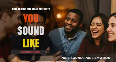 Discover Your Celebrity Voice Match: A Fun Guide to Sound-Alike Stars