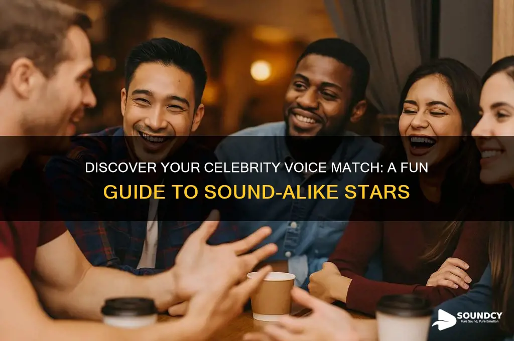 how to find out what celebrity you sound like